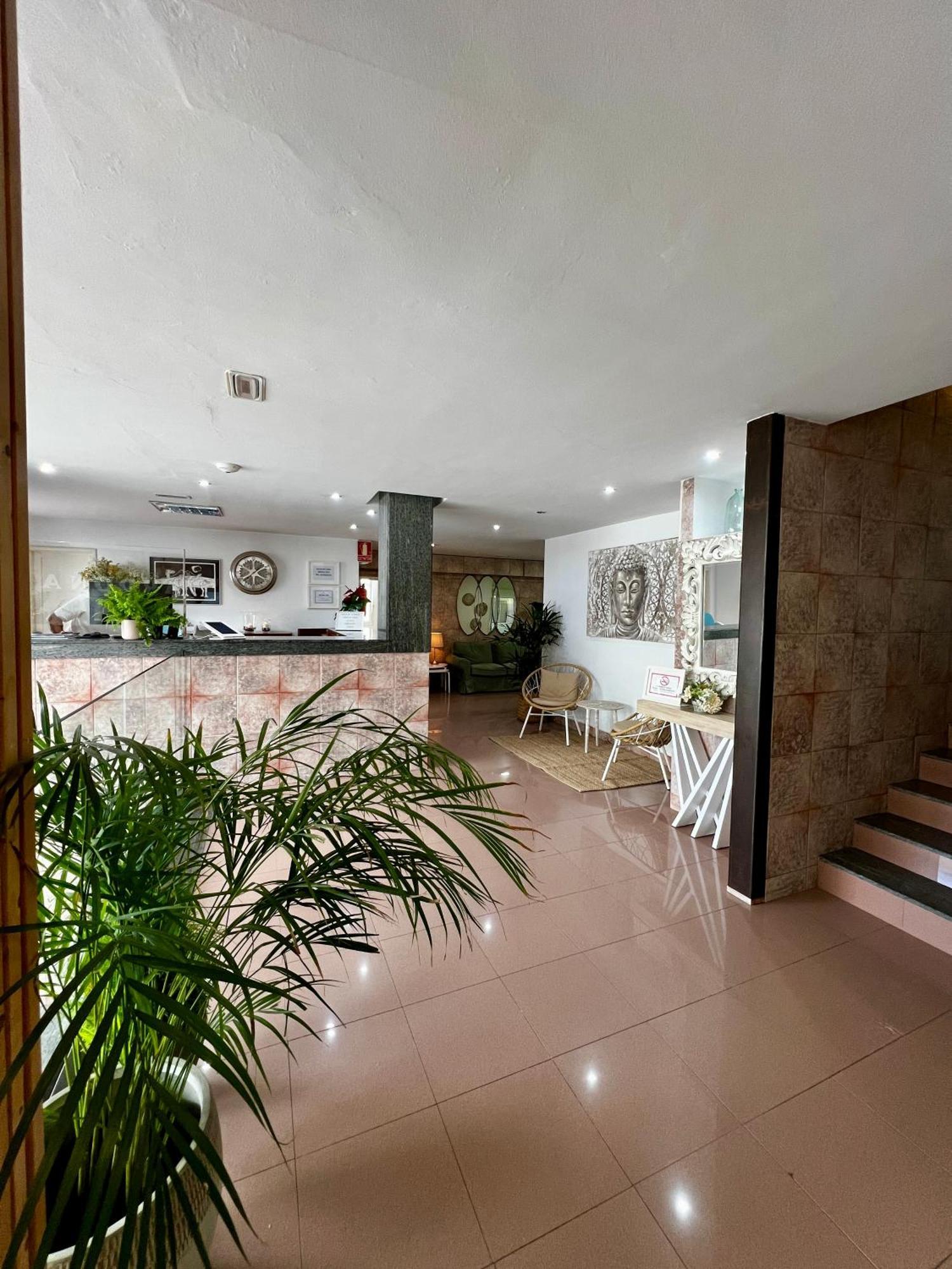 Hostal Residencia Cardona アレシフェ エクステリア 写真