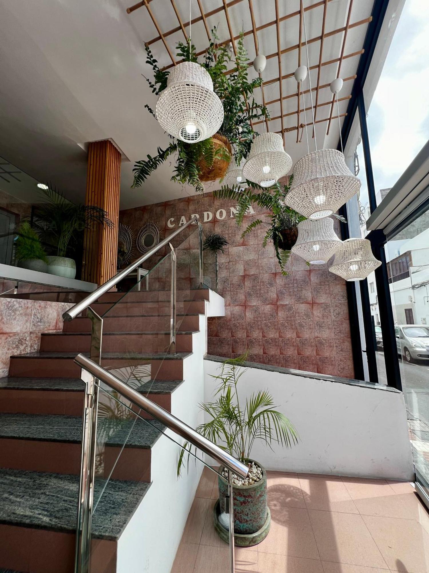 Hostal Residencia Cardona アレシフェ エクステリア 写真